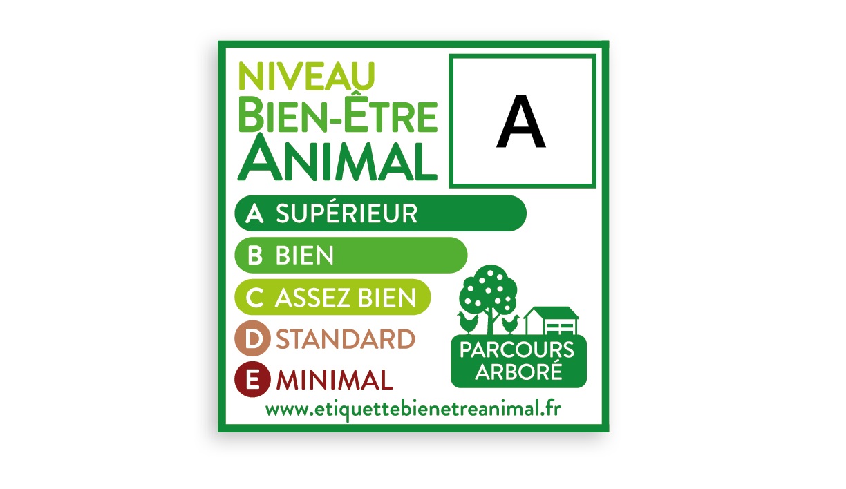 volution De L tiquetage Sur Le Bien tre Animal Vers Un R f rentiel volution De L tiquetage Sur Le Bien tre Animal Vers Un R f rentiel