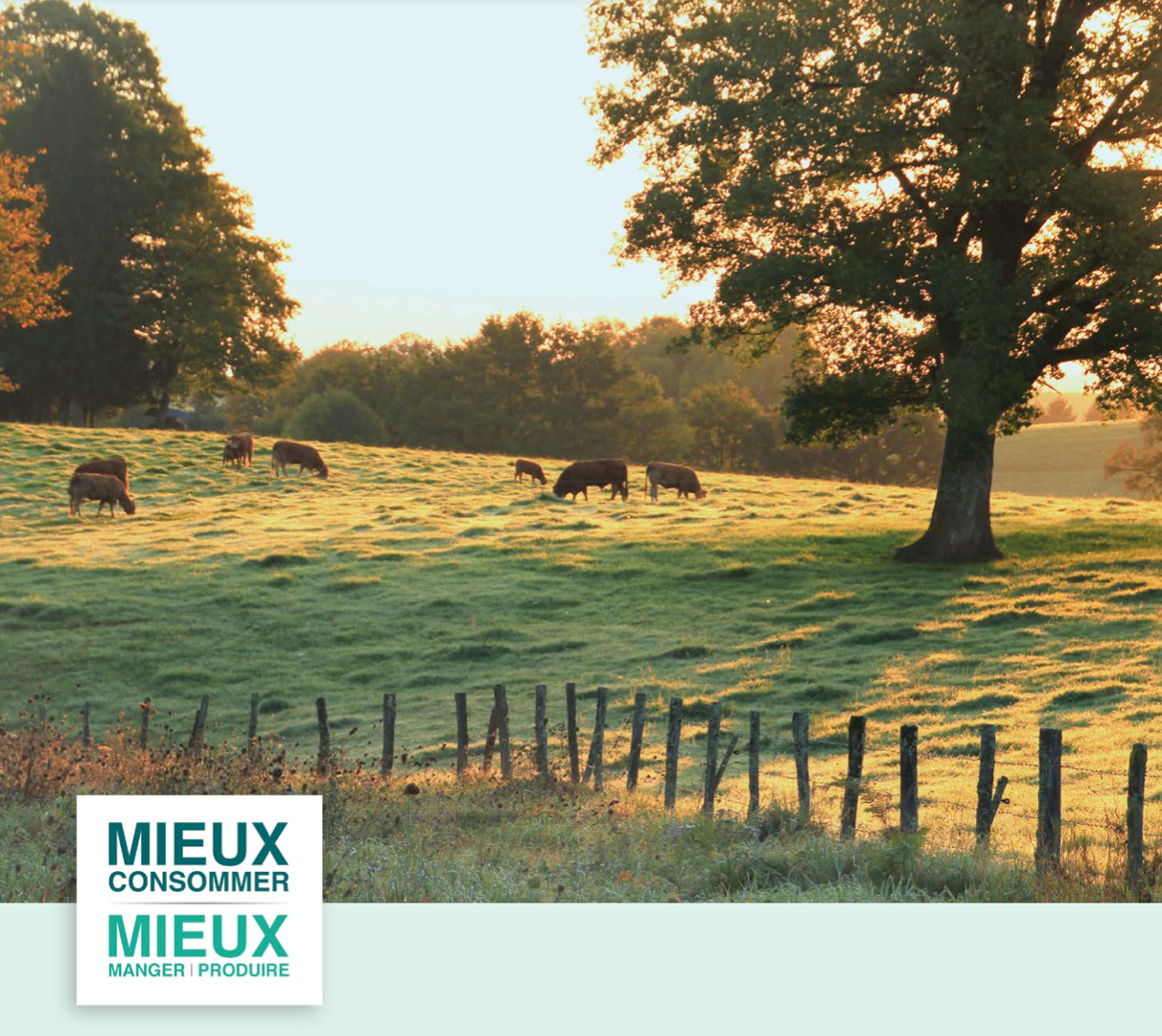 Ameliorer Le Bien Etre Animal Groupe Casino