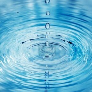eau eau